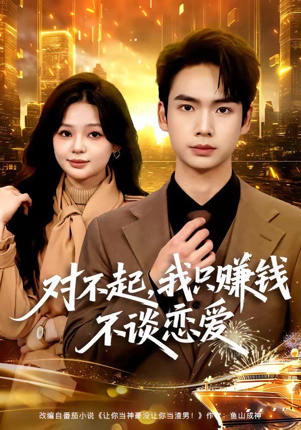 对不起，我只赚钱不谈恋爱海报