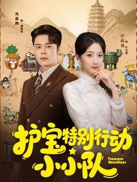 护宝特别行动小小队封面图