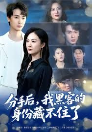 分手后我黑客的身份藏不住了封面图