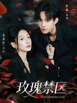 玫瑰禁区海报