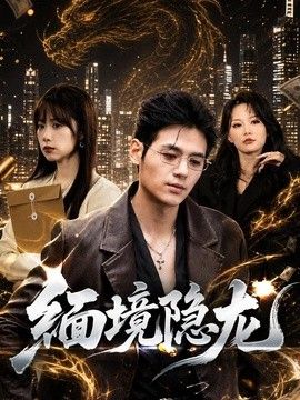 缅境隐龙封面图