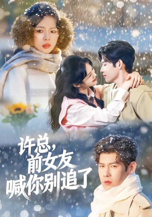 许总前女友喊你别追了封面图