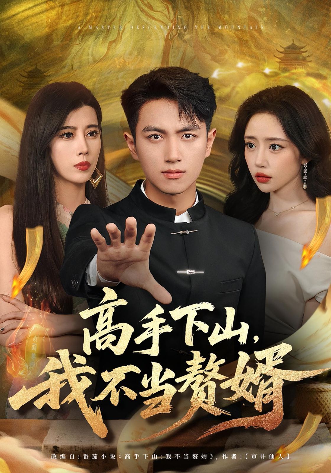 高手下山我不当赘婿 