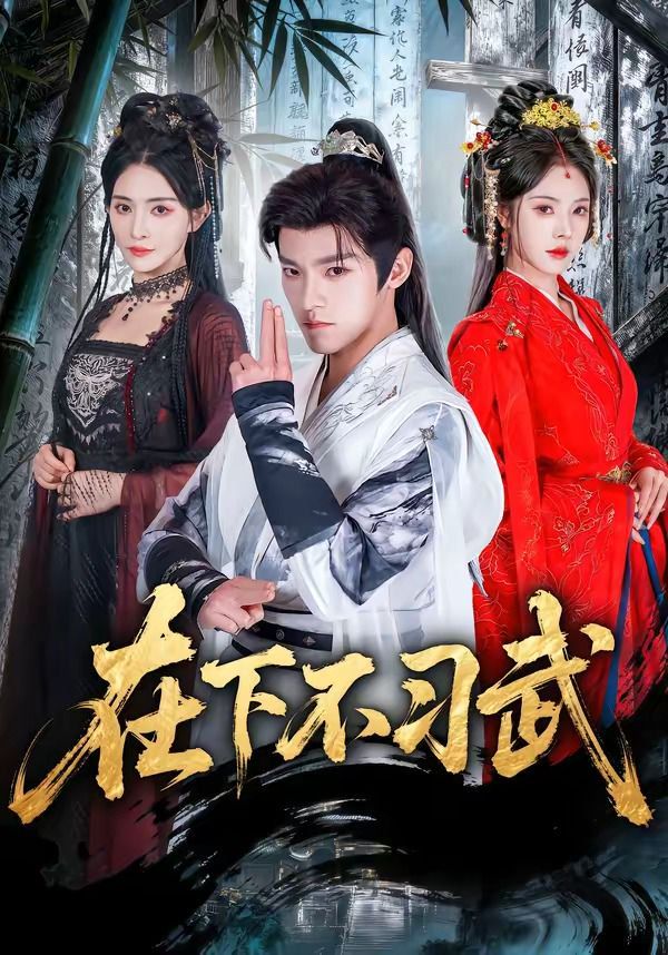 在下不习武海报