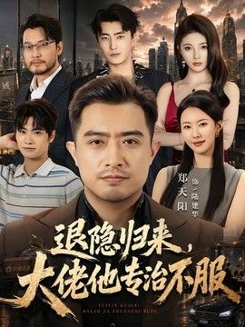 退隐归来，大佬他专治不服海报