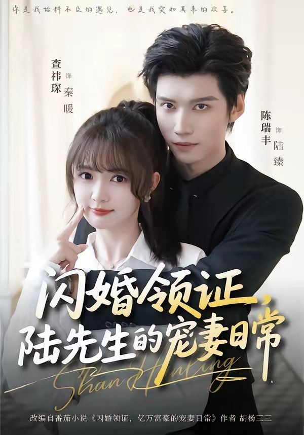 闪婚领证，陆先生的宠妻日常海报