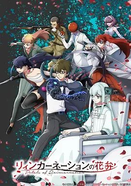 轮回的花瓣海报