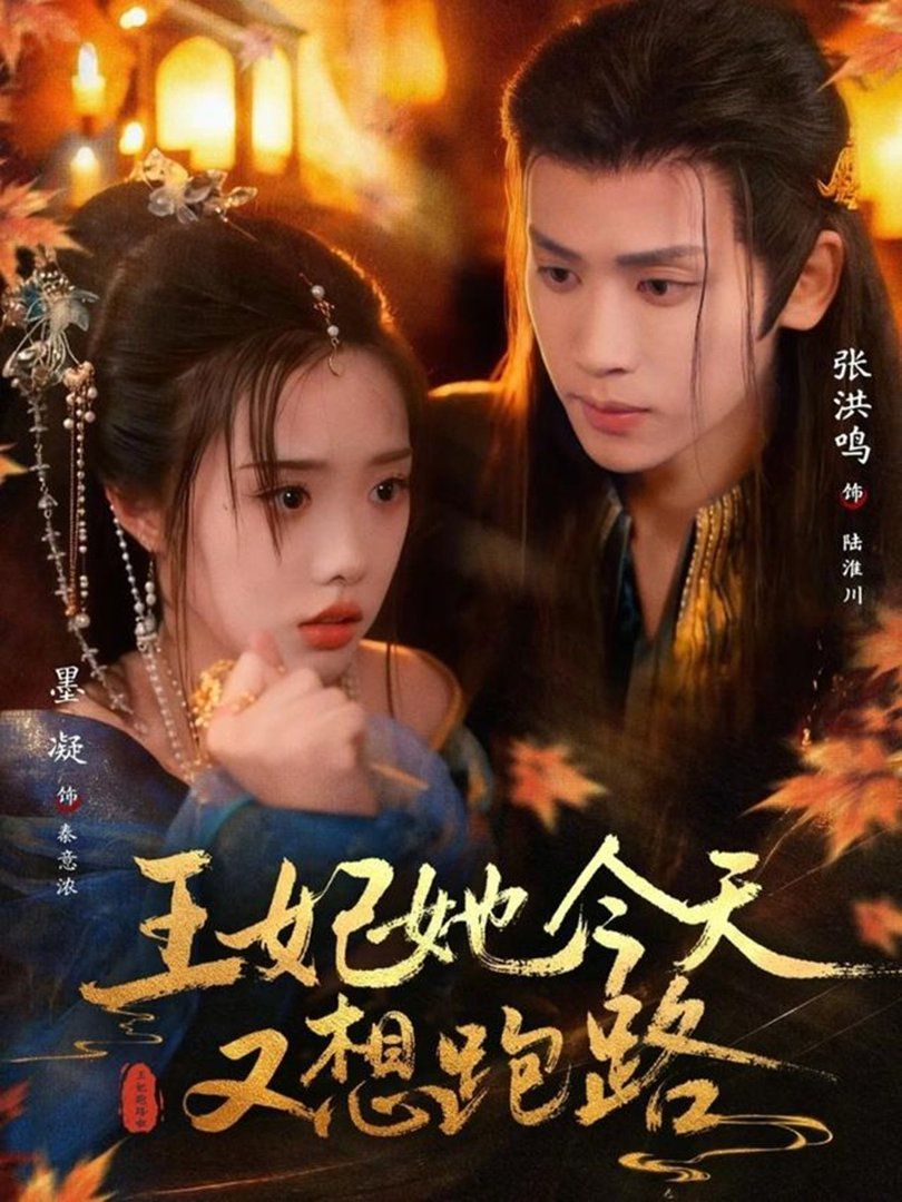 王妃她今天又想跑路海报