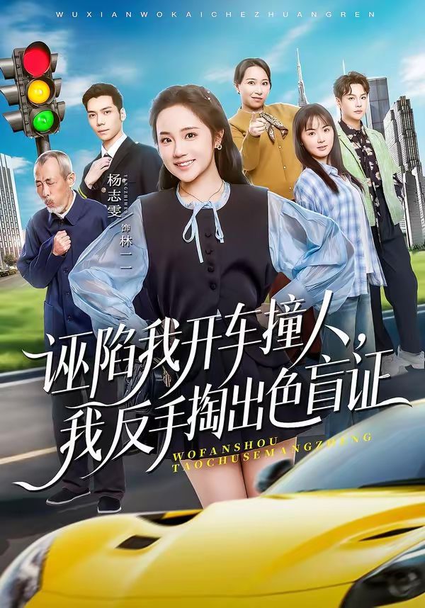 诬陷我开车撞人我反手掏出色盲封面图