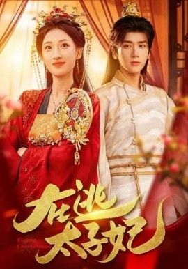 在逃太子妃封面图