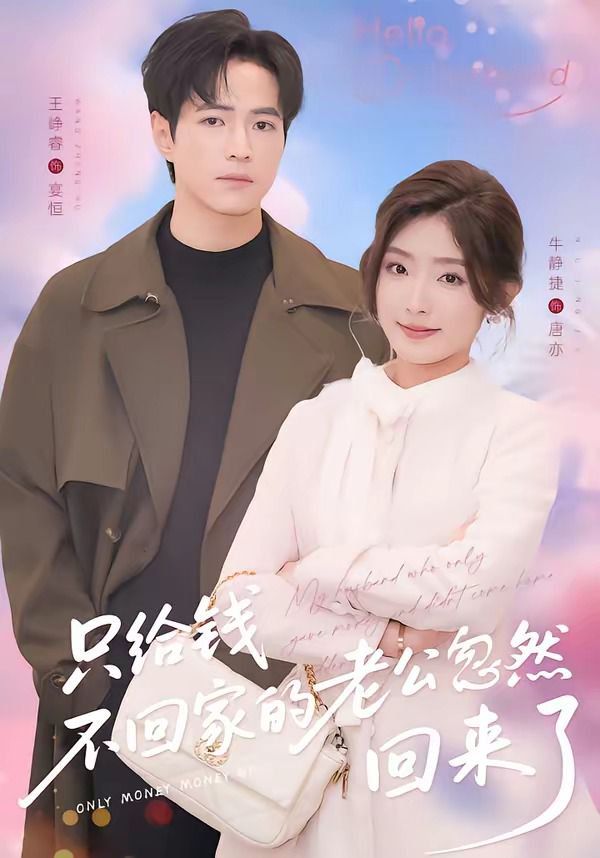 只给钱不回家的老公忽然回来海报