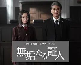 无垢的证人封面图