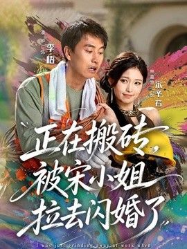 正在搬砖，被宋小姐拉去闪婚了海报