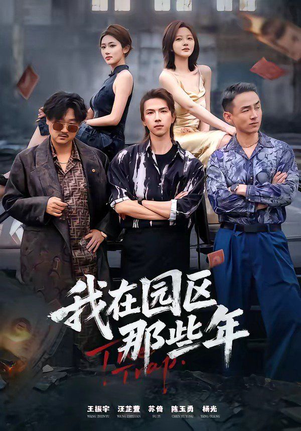 我在园区那些年海报