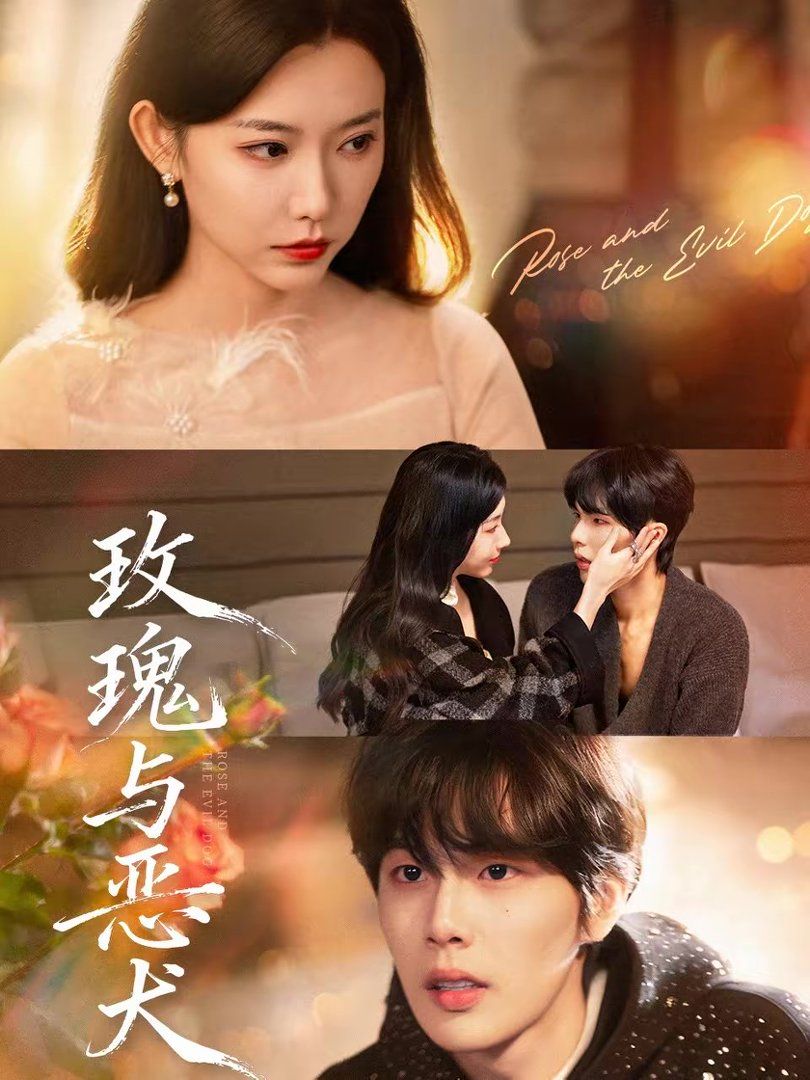 玫瑰与恶犬封面图