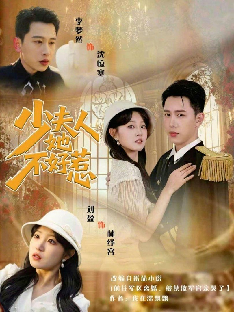 少夫人她不好惹封面图