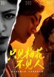 只见梅花不见人}