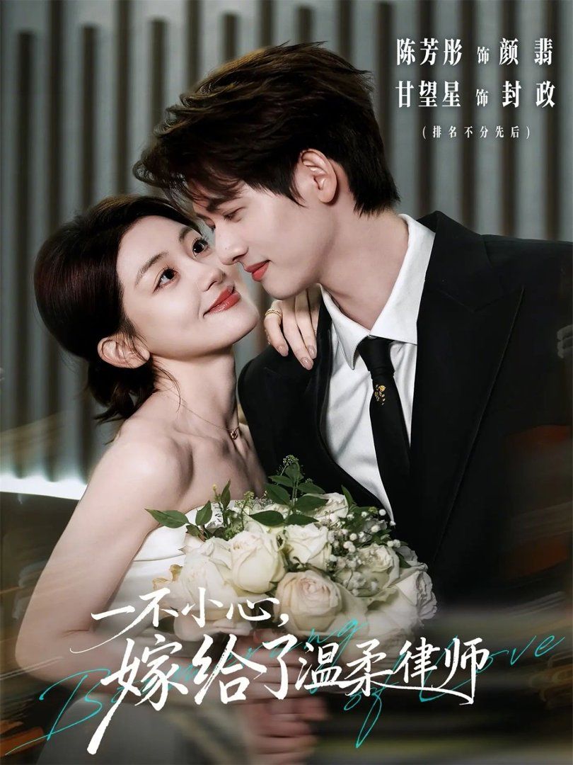 一不小心，嫁给了温柔律师海报