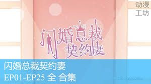 闪婚总裁契约妻封面图