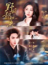 野风却知泱封面图