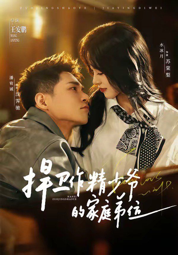 捍卫作精少爷的家庭弟位海报