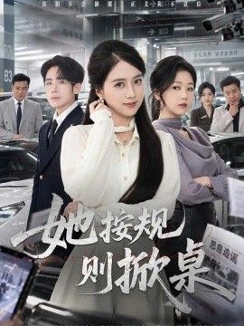 《她按规则掀桌》封面