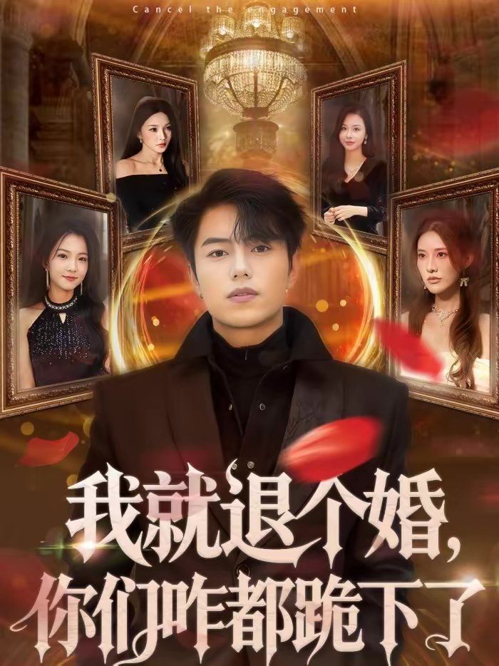 我就退个婚你们咋都跪下了封面图