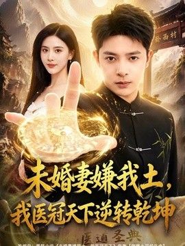 未婚妻嫌我土,我医冠天下逆转乾坤 海报