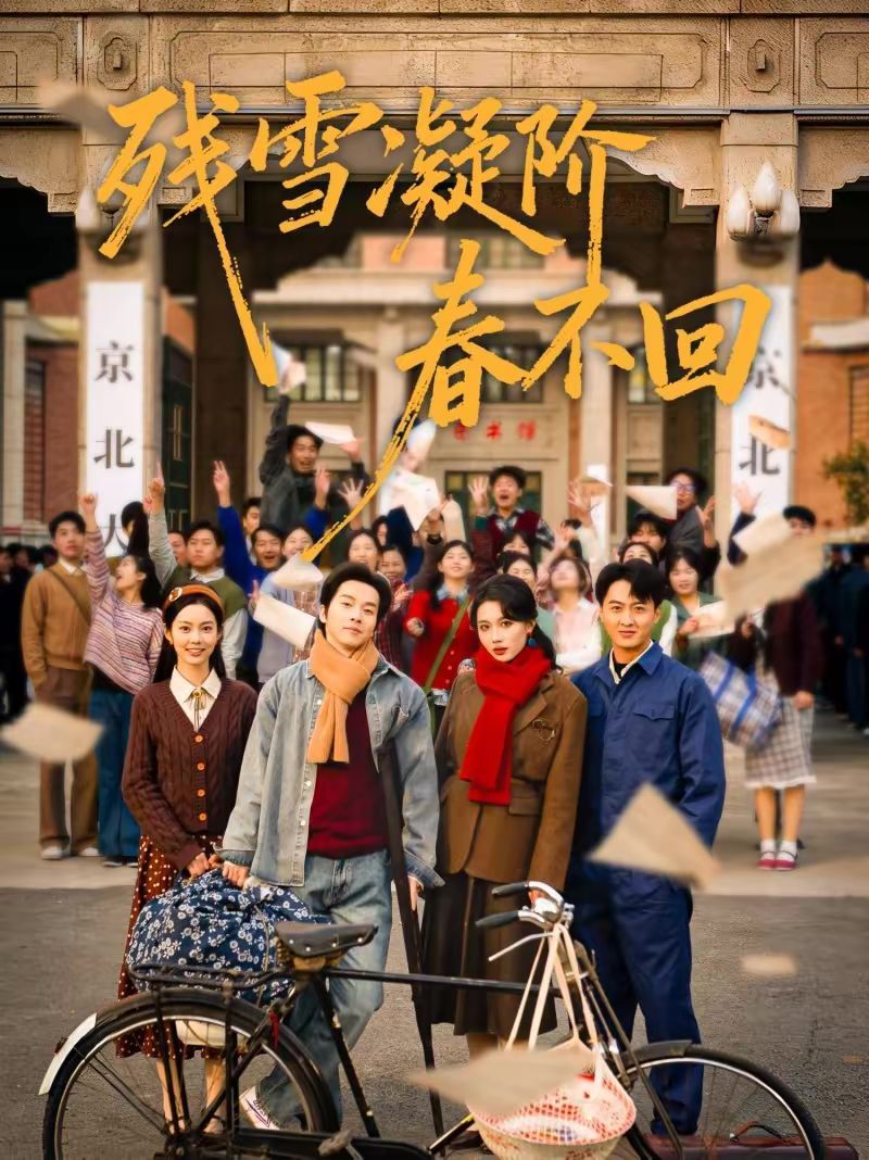 残雪凝阶春不回封面图