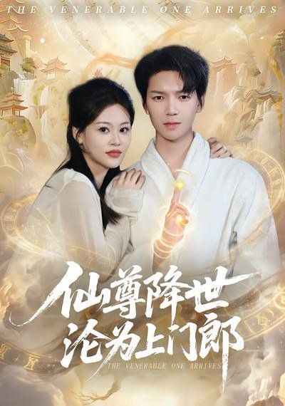 仙尊降世沦为上门郎封面图