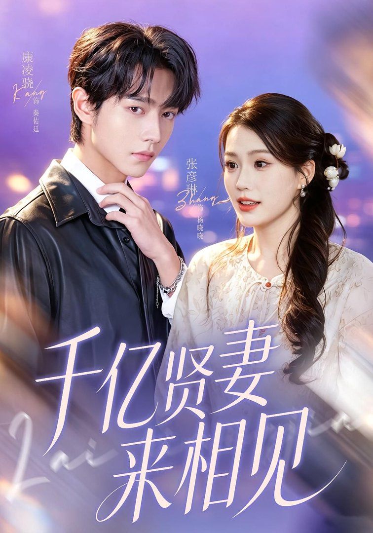 千亿贤妻来相见（钻石贤妻来相见）海报