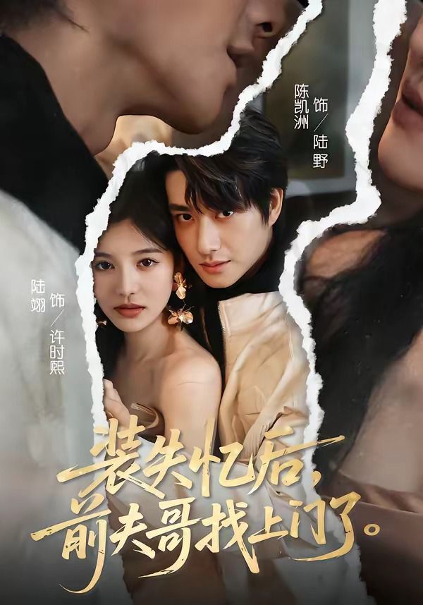 装失忆后，前夫哥找上门了海报