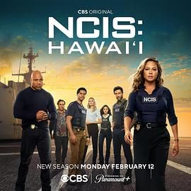 海军罪案调查处：夏威夷第3季