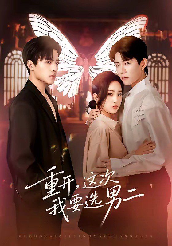 重开，这次我要选男二封面图