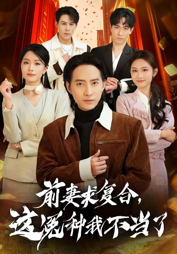 前妻求复合，这冤种我不当了海报