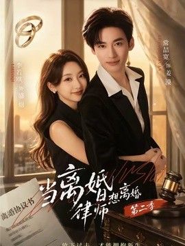 当离婚律师想离婚第二季封面图
