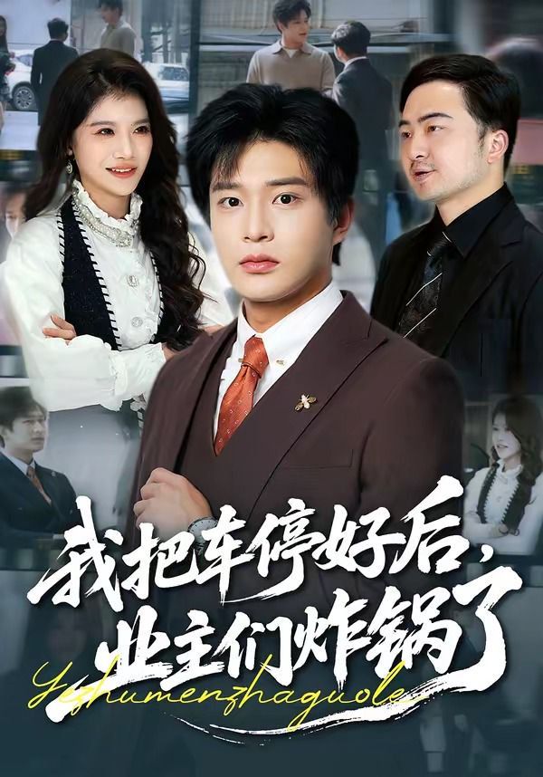 我把车停好后，业主们炸锅了海报