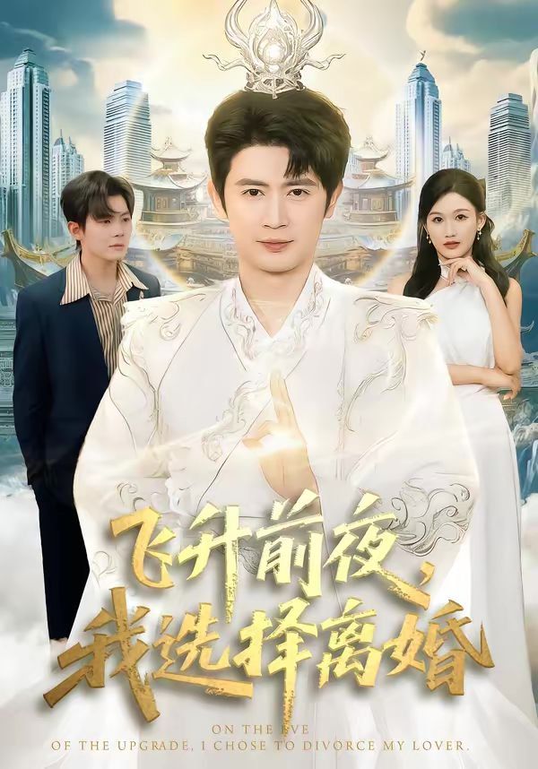 飞升前夜我选择离婚封面图