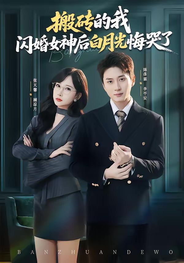 搬砖的我，闪婚女神后白月光悔哭了海报