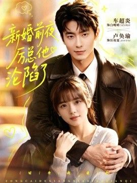 新婚前夜，厉总他沦陷了海报