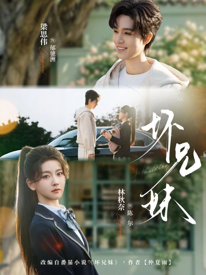 坏兄妹封面图