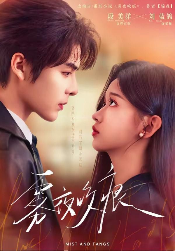 雾夜咬痕海报
