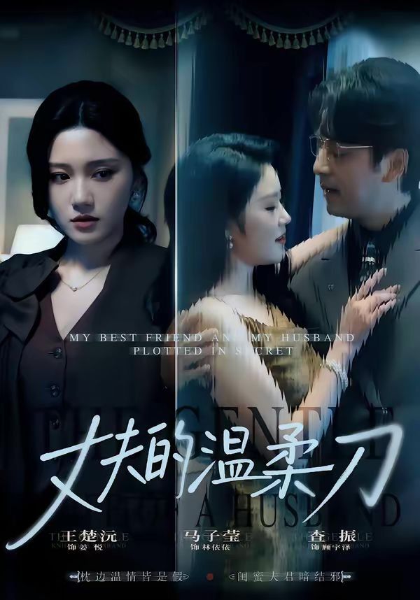 丈夫的温柔刀封面图