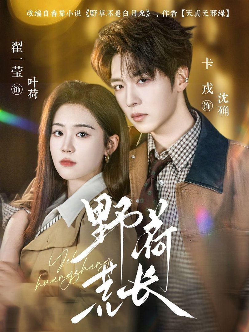 野荷荒长封面图