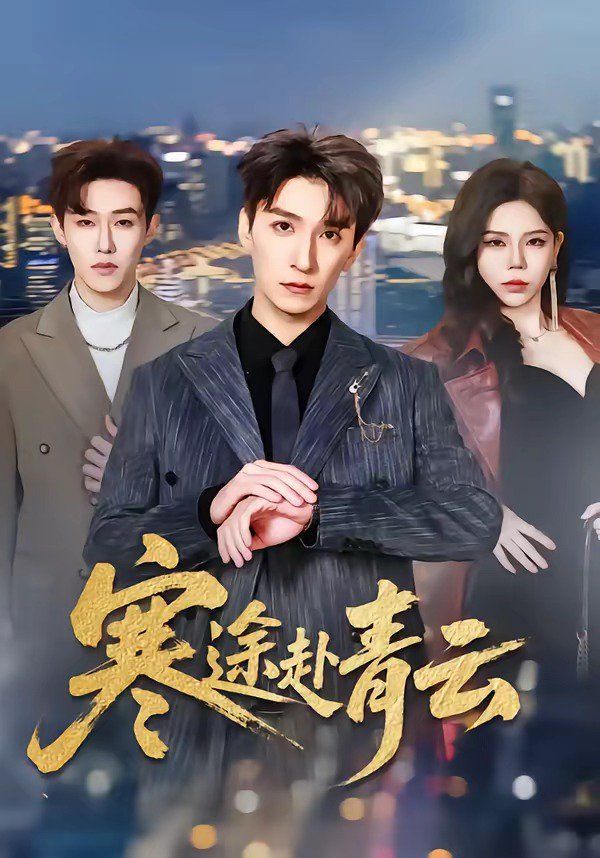 寒途赴青云海报