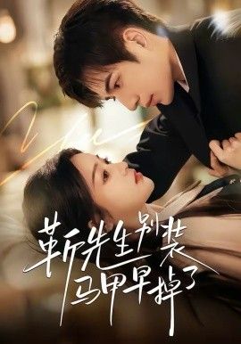 靳先生别装马甲早掉了封面图