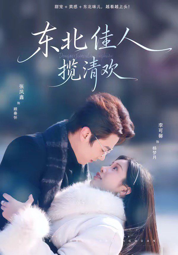 东北佳人揽清欢海报