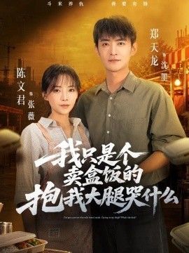 我只是个卖盒饭的抱我大腿哭什么封面图