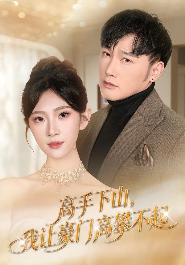 高手下山，我让豪门高攀不起海报