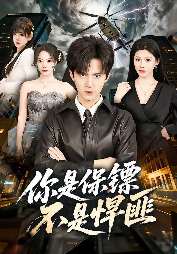 你是保镖不是悍匪海报